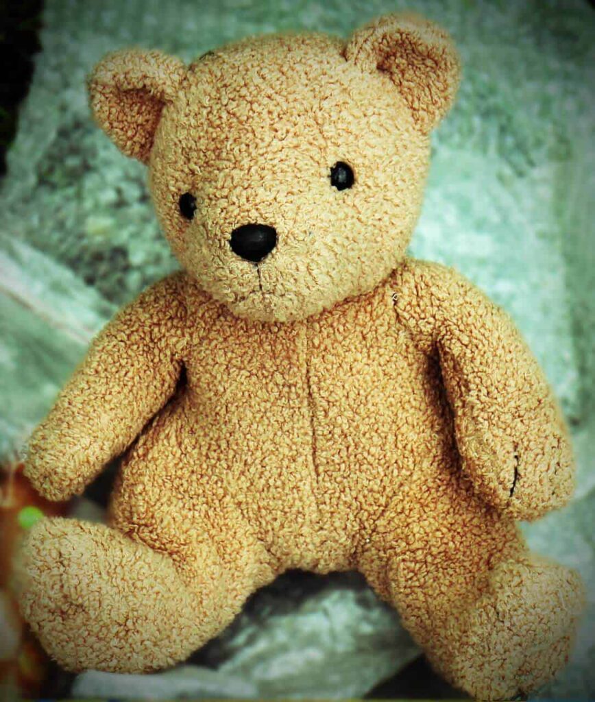 teddy-bear-LAM