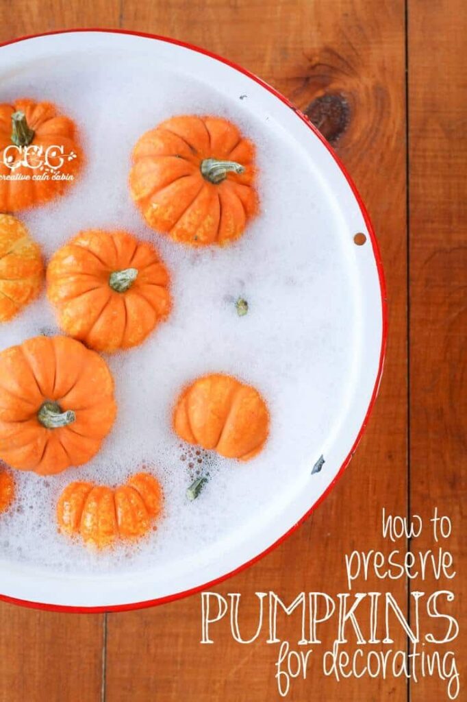 How-to-Preserve-Pumpkins
