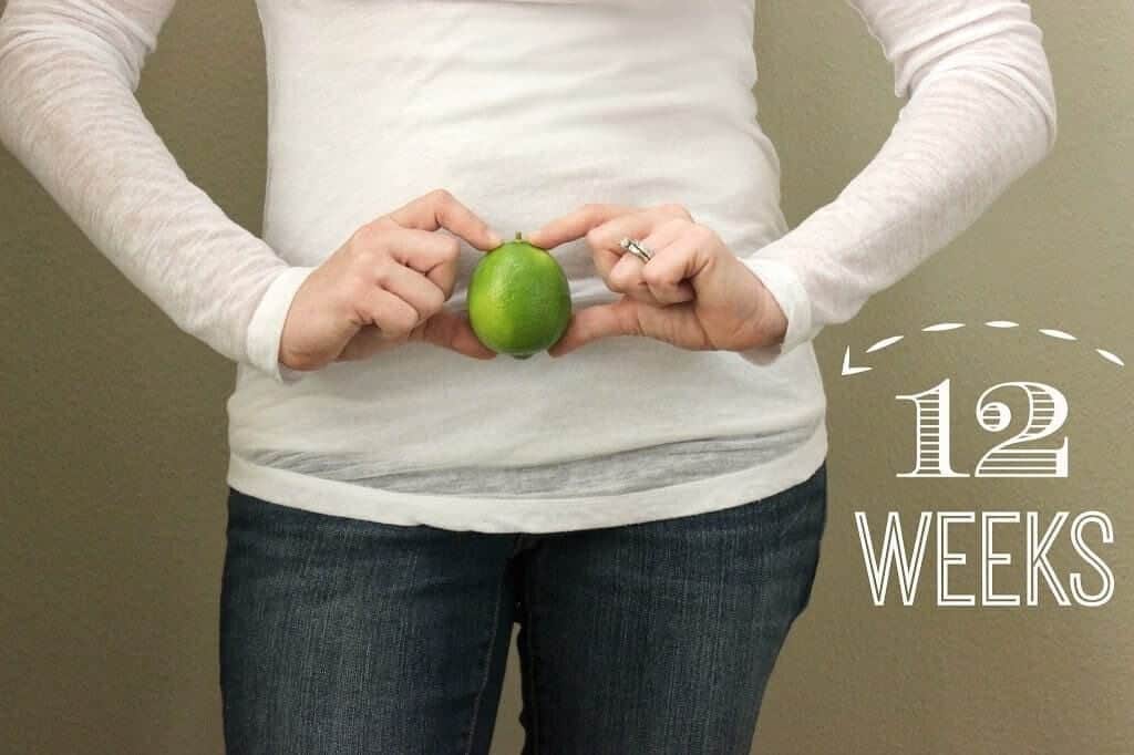12-weeks-pregnant-baby-is-the-size-of-a-lime