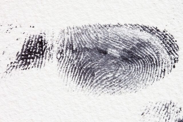 fingerprint-255897_640