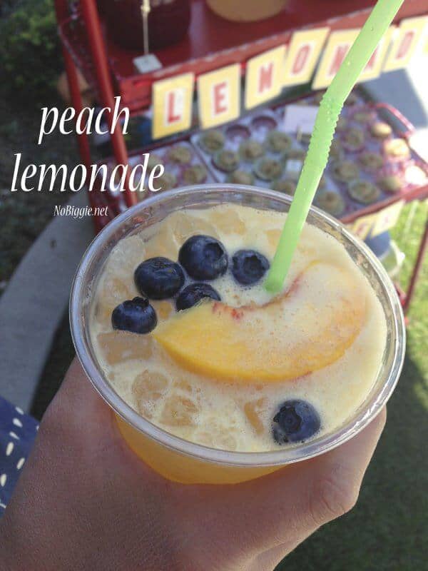 peach-lemonade-recipe-NoBiggie.net_
