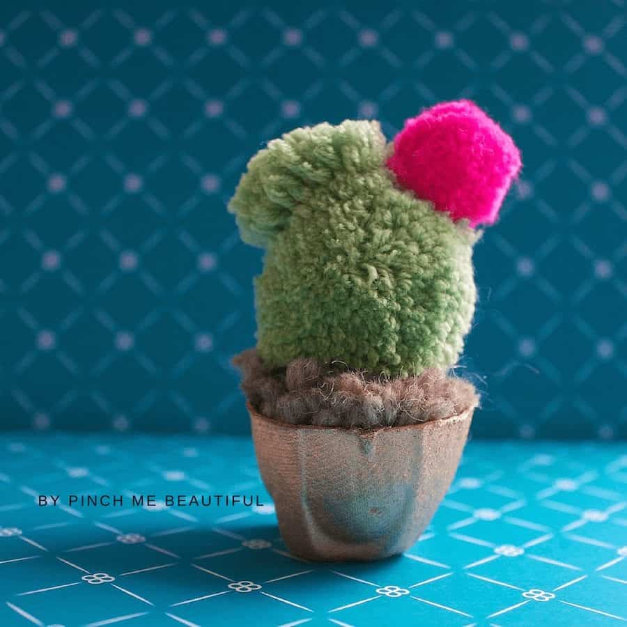 Cactus Pop-pom copy 2