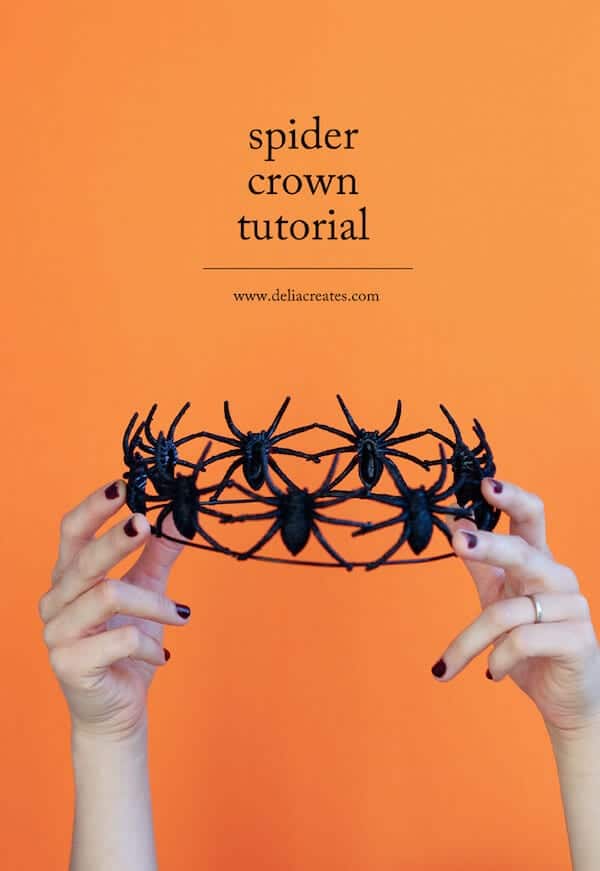 spider-crown-14-of-320929