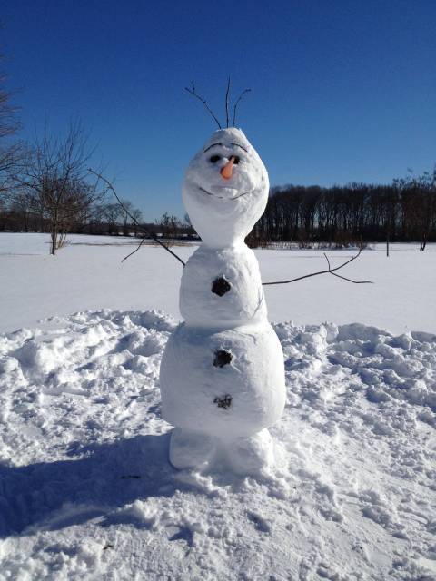 snowman idea