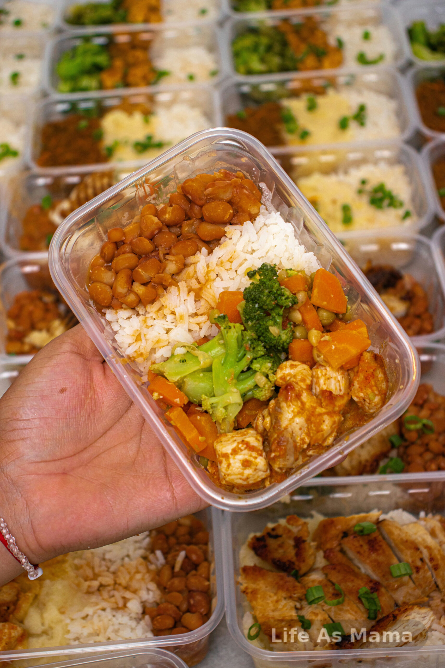 Neatly packed and labeled freezer-friendly meals in containers and storage bags ready for the freezer